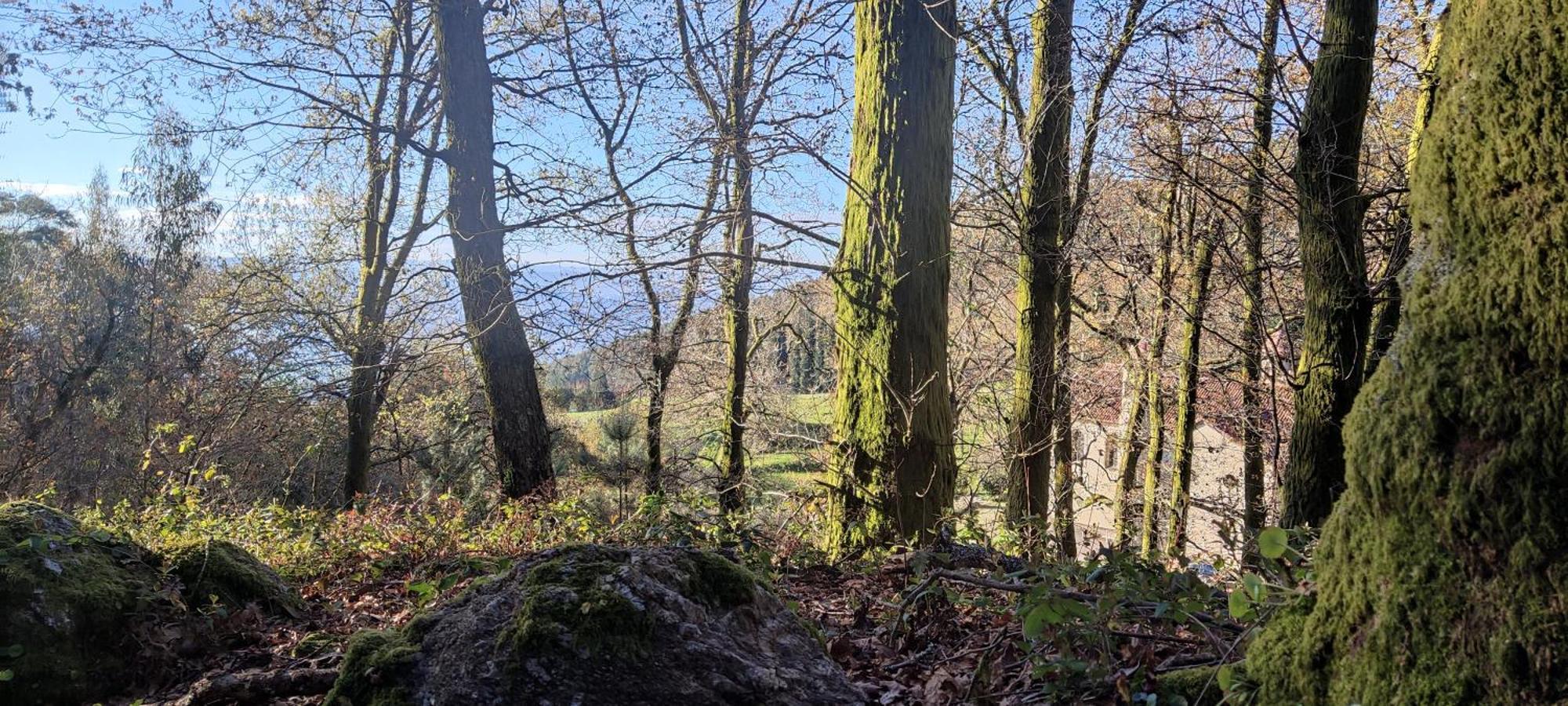 Apartament Quinta Da Tapada Longos Zewnętrze zdjęcie